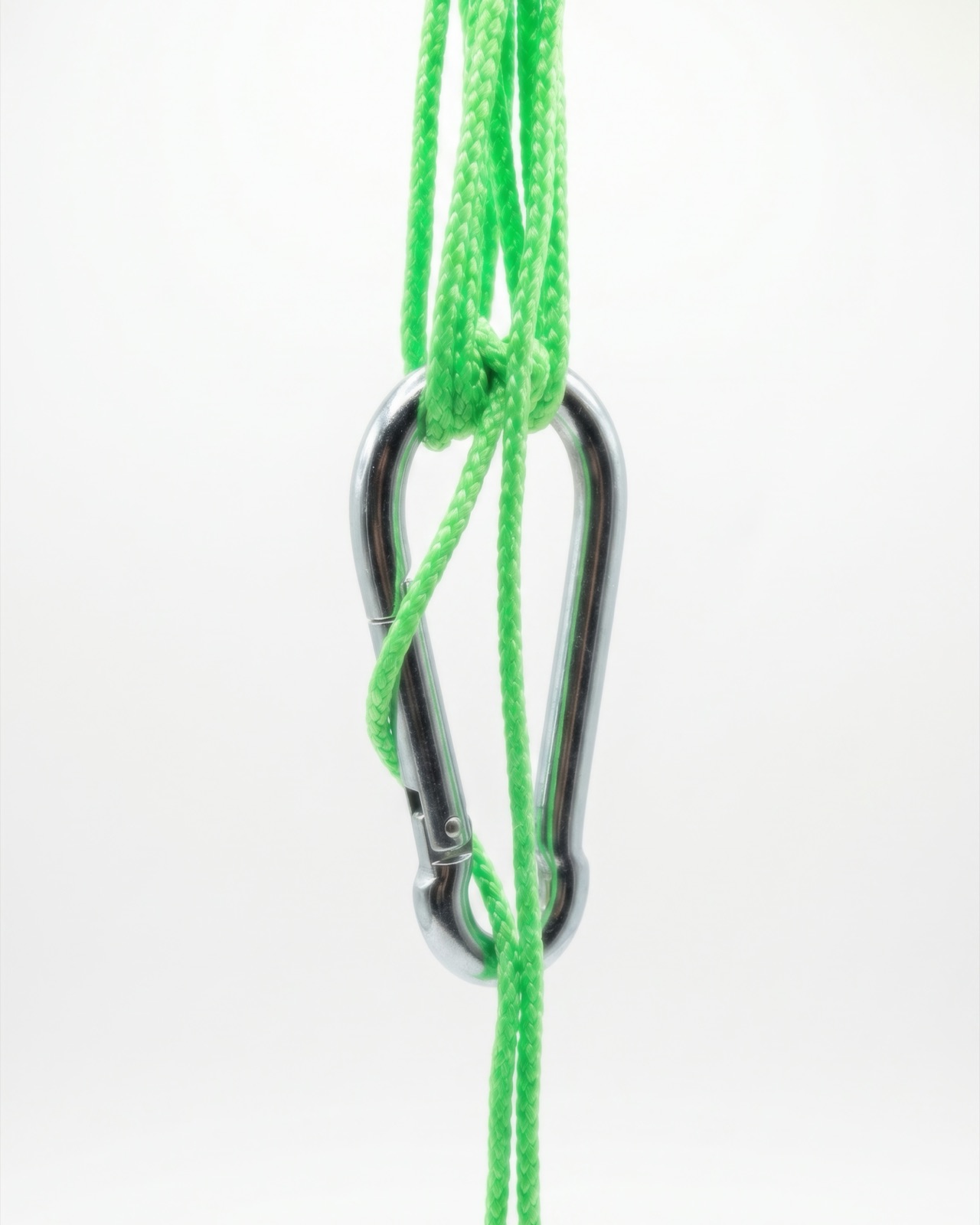 One Lineage — a cord knotted through a carabiner, the tie between two chapters